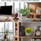 5 Pack Small Potted Artificial Plants with Eucalyptus & Greenery in Cement Pots – Faux Indoor Plants for Shelf, Desk, Bathroom, Office, Table & Modern Farmhouse Home Decor